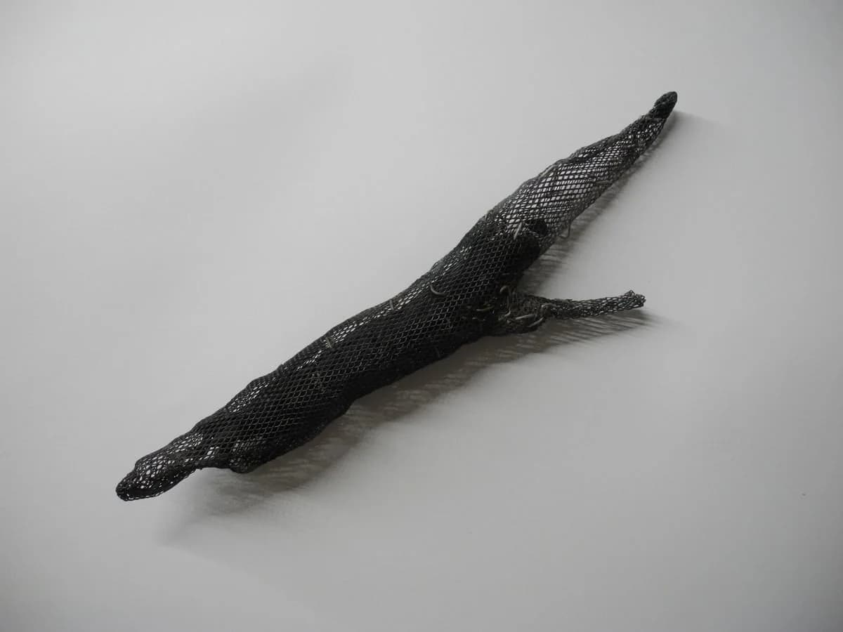Branche calcinée